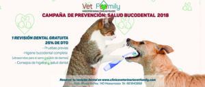 campaña-prevención-animales-limpieza-dental-clinica-veterinaria-vetfamily-massanassa