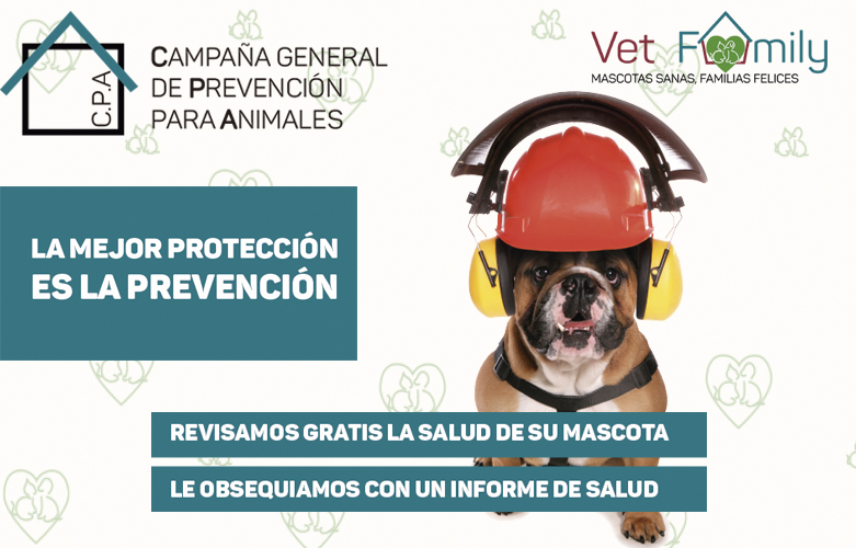 campaña-prevencion-animales-noticias-clinica-veterinaria-massanassa
