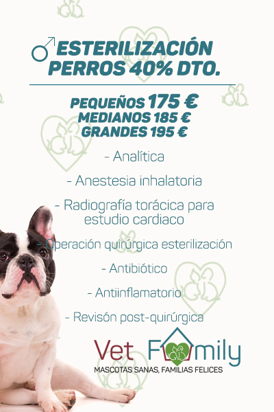 clinica-veterinaria-massanassa-vetfamily-CAMPAÑA DE esterilización-PERROS