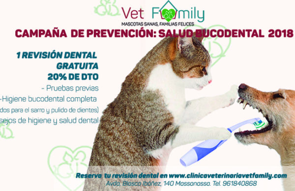 clinica-veterinaria-vetfamily-massanassa-campaña-limpieza-dental-3-clinica-veterinaria-vetfamily