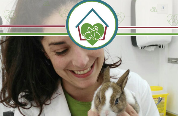 conejito-clinica-veterinaria-vetfamily