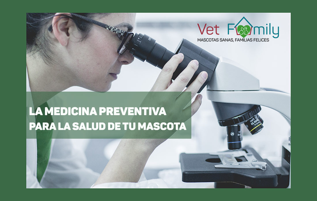 medicina-preventiva-clinica-veterianaria-massanassa-vetfamily-tarifas-planas
